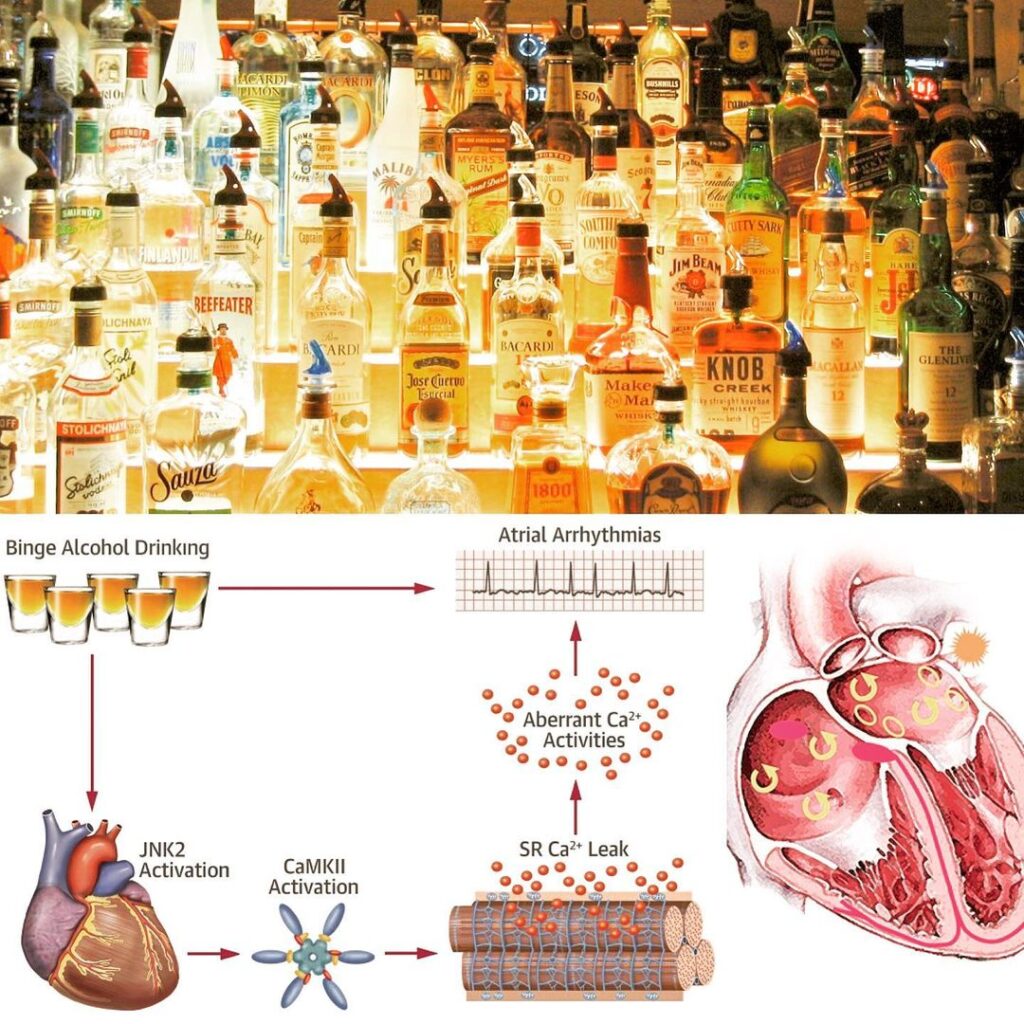 اثرات مصرف الکل بر قلب