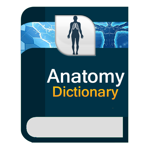 دیکشنری آناتومی